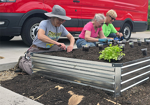 Volunteers planting